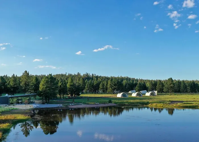 Backland Luxury Nature